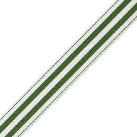 Mds 1" (26 Mm) Stripe Border Trim by Samuel & Sons in Fern