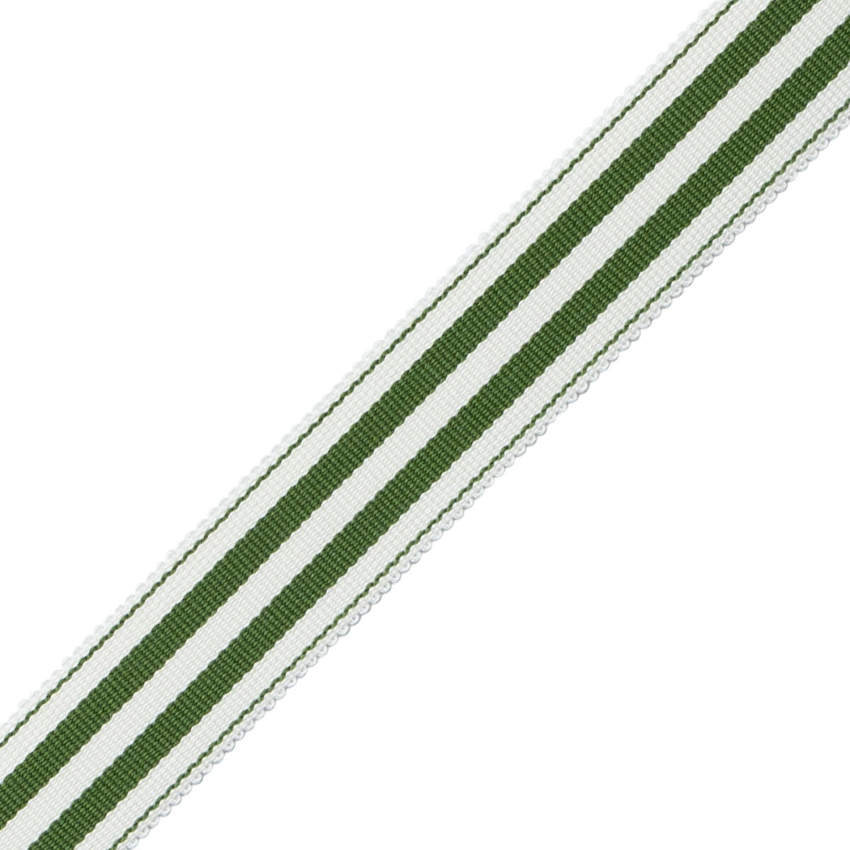 Mds 1" (26 Mm) Stripe Border Trim by Samuel & Sons in Fern
