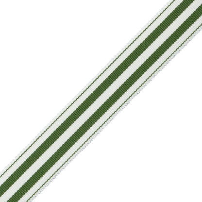 Mds 1" (26 Mm) Stripe Border Trim by Samuel & Sons in Fern