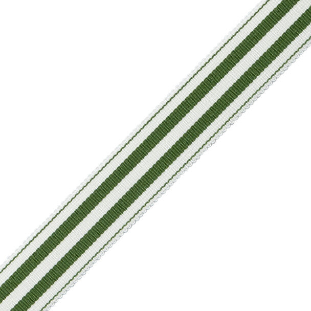 Mds 1" (26 Mm) Stripe Border Trim by Samuel & Sons in Fern