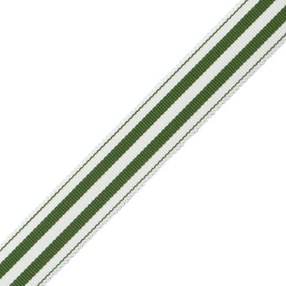Mds 1" (26 Mm) Stripe Border Trim by Samuel & Sons in Fern