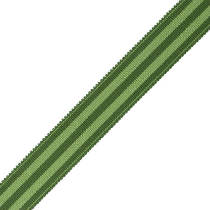 Mds 1" (26 Mm) Stripe Border Trim by Samuel & Sons in Evergreen