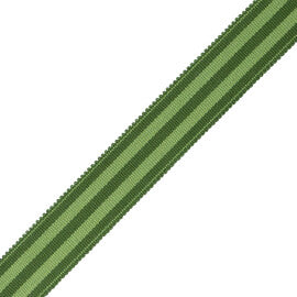 Mds 1" (26 Mm) Stripe Border Trim by Samuel & Sons in Evergreen