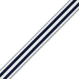 Mds 1" (26 Mm) Stripe Border Trim by Samuel & Sons in Sapphire