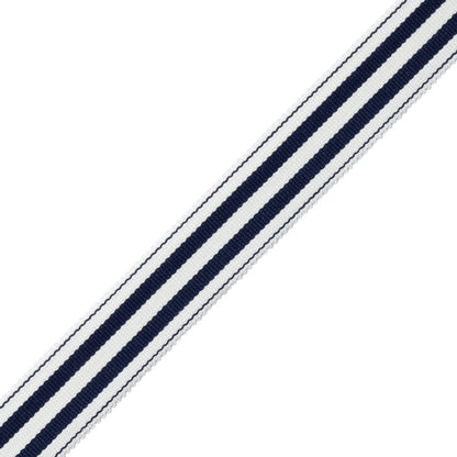 Mds 1" (26 Mm) Stripe Border Trim by Samuel & Sons in Sapphire
