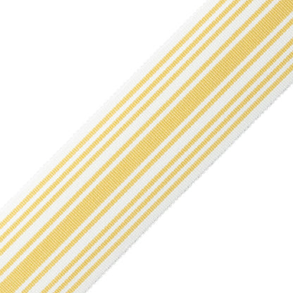 Mds 2" (51 Mm) Stripe Border Trim by Samuel & Sons in Jonquil