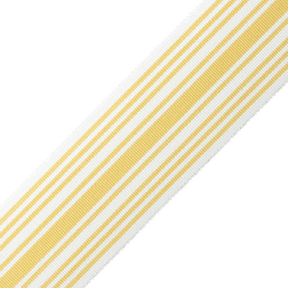 Mds 2" (51 Mm) Stripe Border Trim by Samuel & Sons in Jonquil