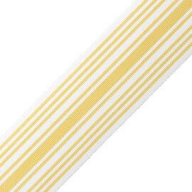 Mds 2" (51 Mm) Stripe Border Trim by Samuel & Sons in Jonquil