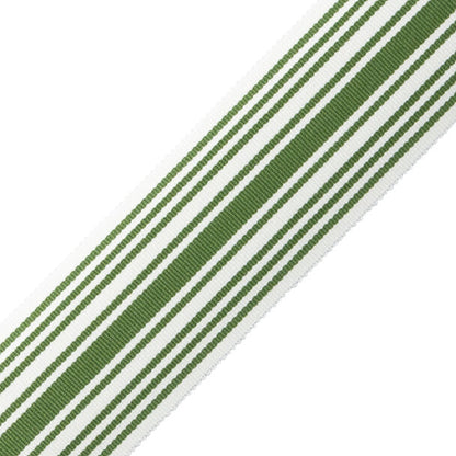 Mds 2" (51 Mm) Stripe Border Trim by Samuel & Sons in Fern