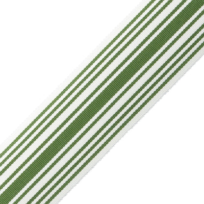 Mds 2" (51 Mm) Stripe Border Trim by Samuel & Sons in Fern