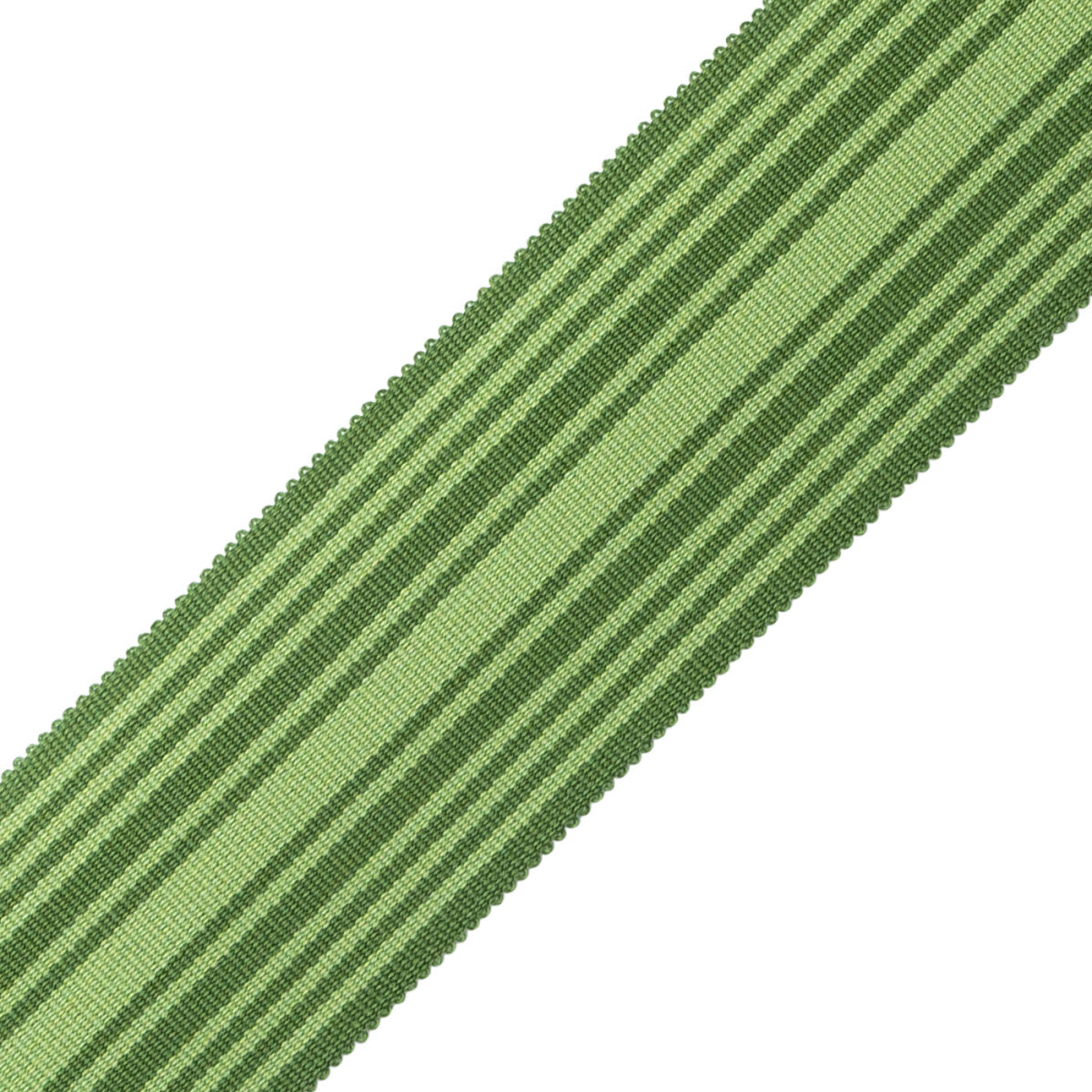 Mds 2" (51 Mm) Stripe Border Trim by Samuel & Sons in Evergreen