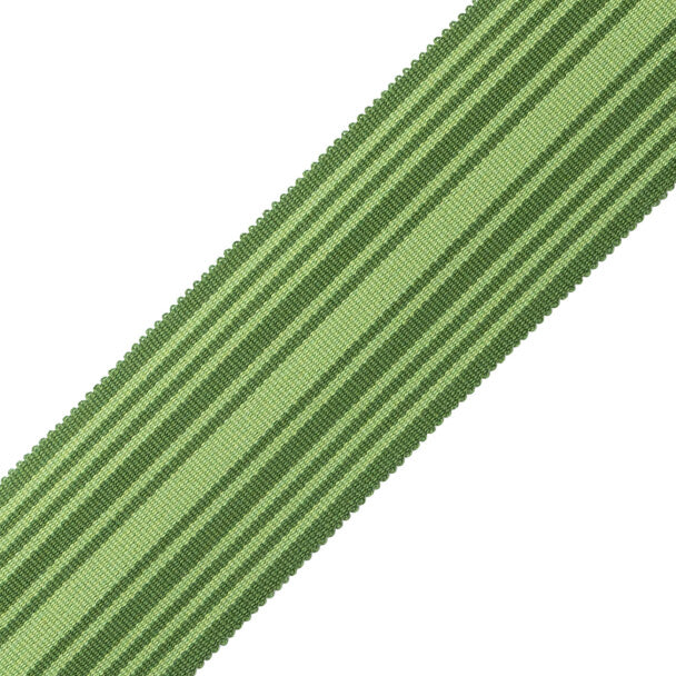 Mds 2" (51 Mm) Stripe Border Trim by Samuel & Sons in Evergreen