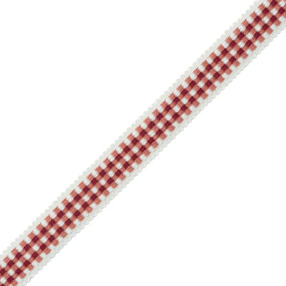Mds Check Gimp Trim by Samuel & Sons in Berry