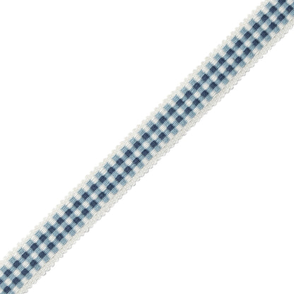 Mds Check Gimp Trim by Samuel & Sons in Azure