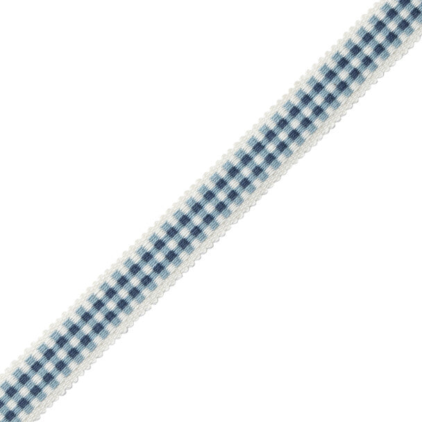 Mds Check Gimp Trim by Samuel & Sons in Azure