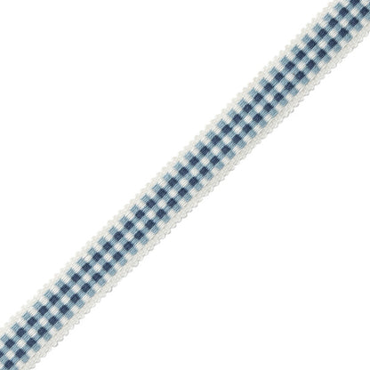 Mds Check Gimp Trim by Samuel & Sons in Azure