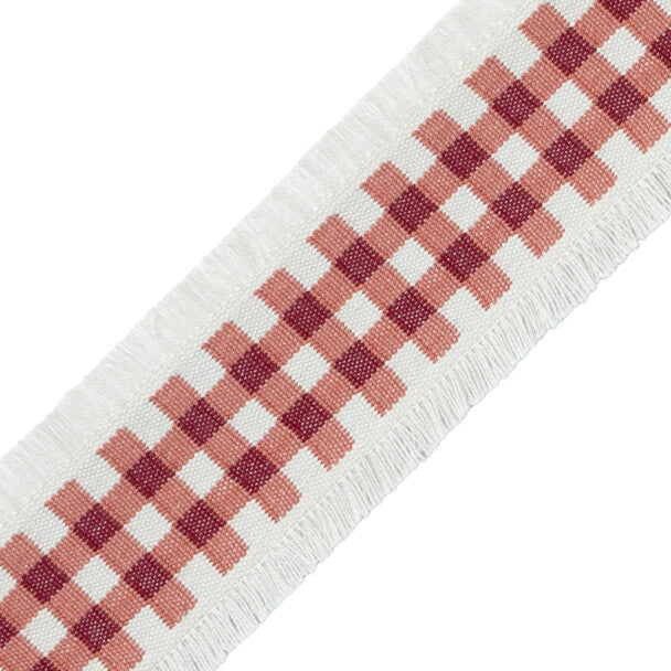 Mds Check Border Trim by Samuel & Sons in Berry