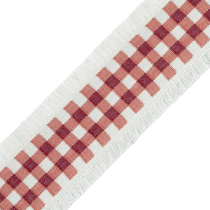 Mds Check Border Trim by Samuel & Sons in Berry