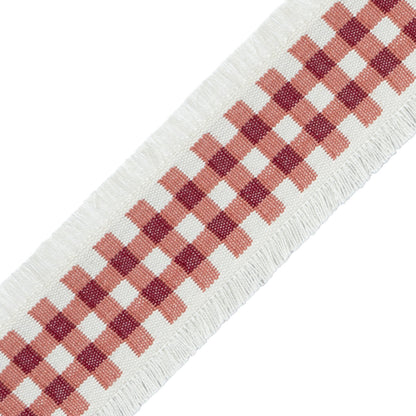 Mds Check Border Trim by Samuel & Sons in Berry