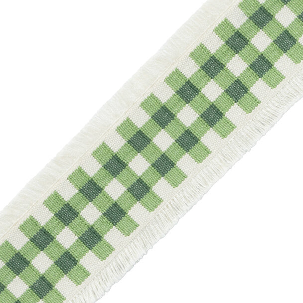 Mds Check Border Trim by Samuel & Sons in Leaf