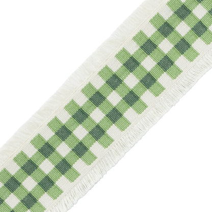 Mds Check Border Trim by Samuel & Sons in Leaf