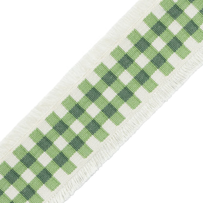 Mds Check Border Trim by Samuel & Sons in Leaf
