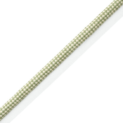 Corsica Raffia Cord With Tape Trim by Samuel & Sons in Leaf
