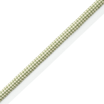 Corsica Raffia Cord With Tape Trim by Samuel & Sons in Leaf