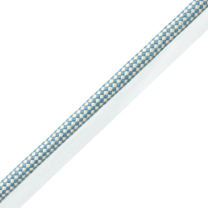 Corsica Raffia Cord With Tape Trim by Samuel & Sons in Sea