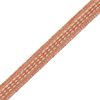 Ilana Border Trim by Samuel & Sons in Coral