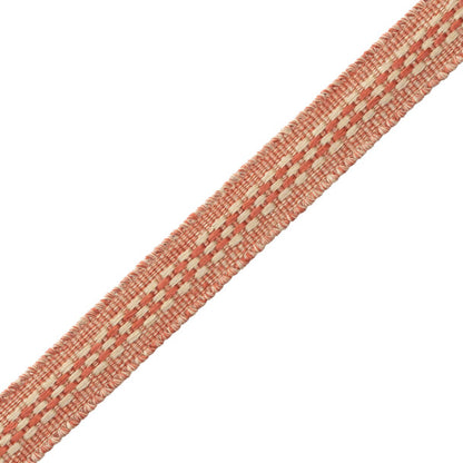 Ilana Border Trim by Samuel & Sons in Coral