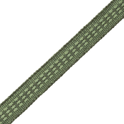 Ilana Border Trim by Samuel & Sons in Evergreen