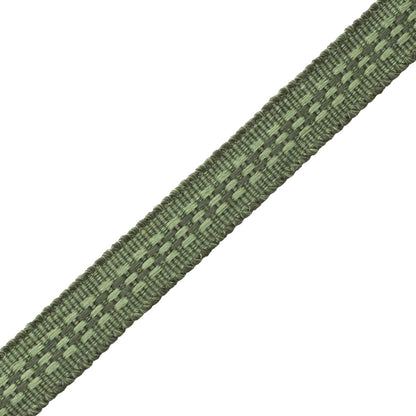 Ilana Border Trim by Samuel & Sons in Evergreen