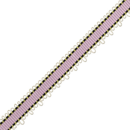 Kaleidoscope Picot Border Trim by Samuel & Sons in Angelica