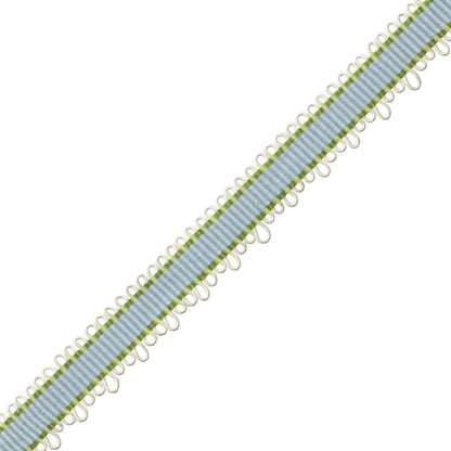 Kaleidoscope Picot Border Trim by Samuel & Sons in Powder