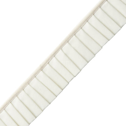 Greer Pleated Border Trim by Samuel & Sons in Pearl