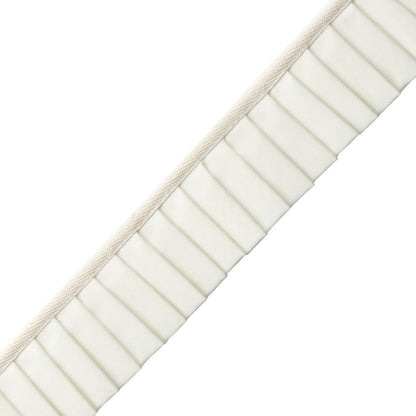 Greer Pleated Border Trim by Samuel & Sons in Pearl