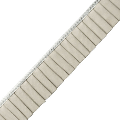 Greer Pleated Border Trim by Samuel & Sons in Sterling