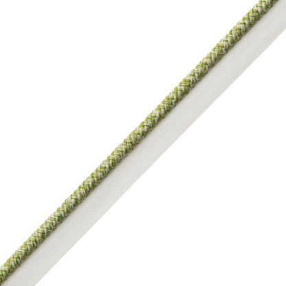 Westport Braided Cord With Tape Trim by Samuel & Sons in Spring Green