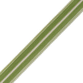 Westport Striped Border Trim by Samuel & Sons in Spring Green