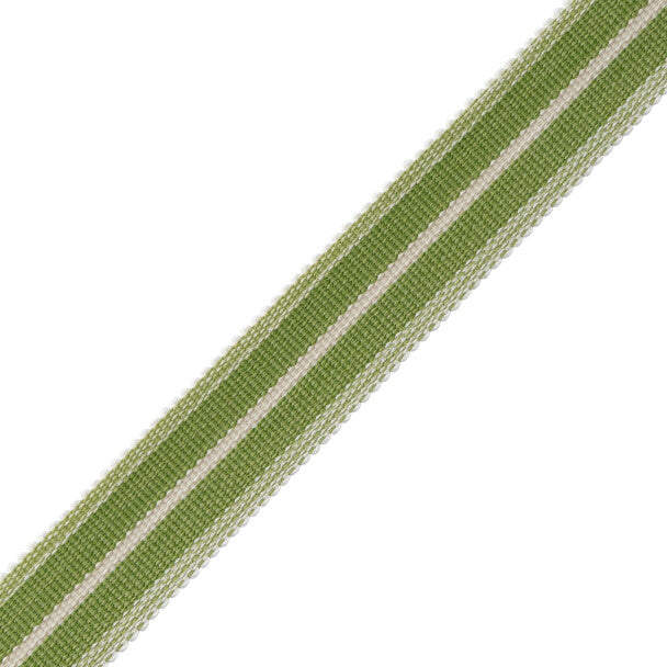 Westport Striped Border Trim by Samuel & Sons in Spring Green
