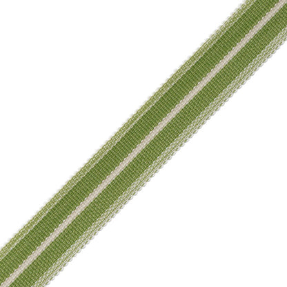Westport Striped Border Trim by Samuel & Sons in Spring Green