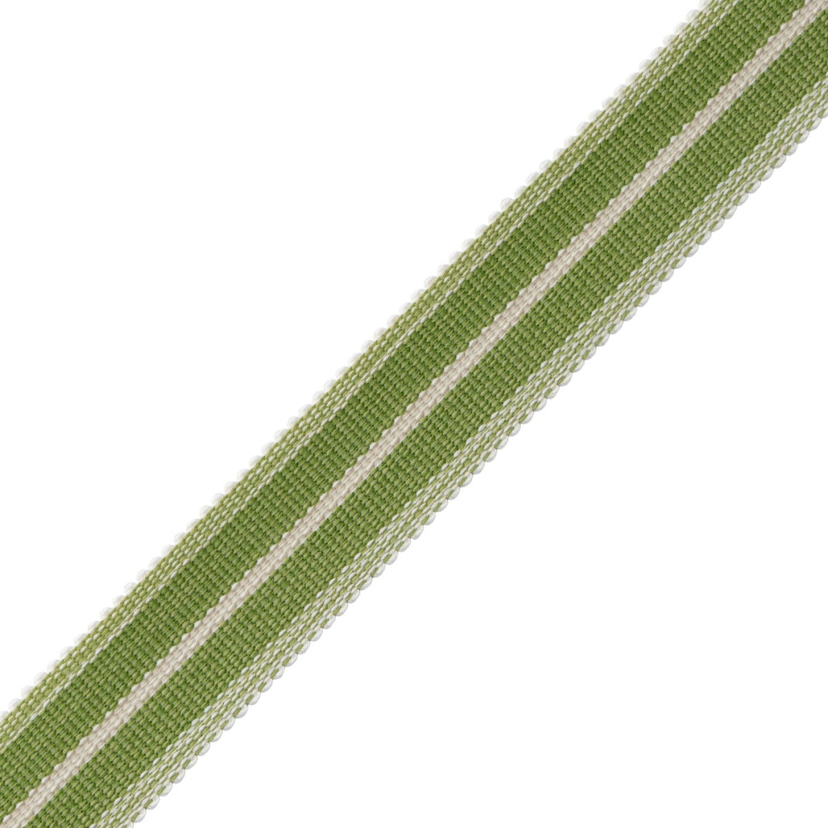 Westport Striped Border Trim by Samuel & Sons in Spring Green