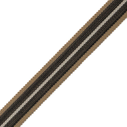 Westport Striped Border Trim by Samuel & Sons in Flint