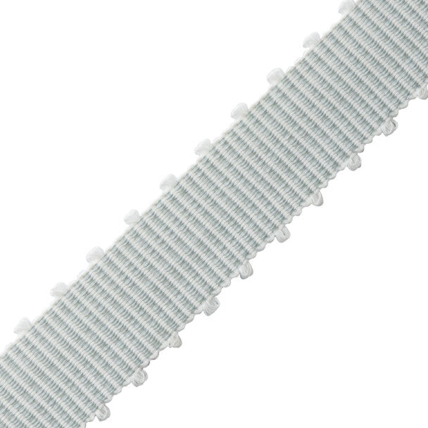 Westport Picot Border Trim by Samuel & Sons in Beach Glass