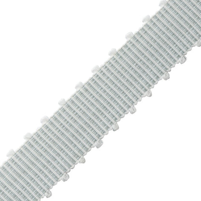 Westport Picot Border Trim by Samuel & Sons in Beach Glass