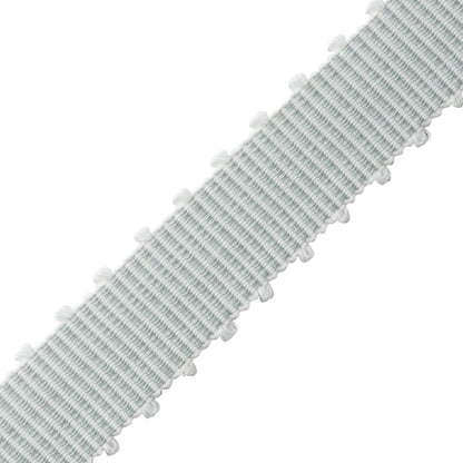 Westport Picot Border Trim by Samuel & Sons in Beach Glass