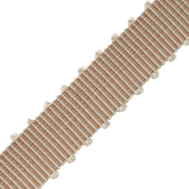 Westport Picot Border Trim by Samuel & Sons in Chai