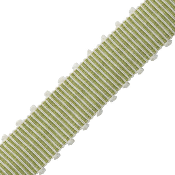 Westport Picot Border Trim by Samuel & Sons in Spring Green