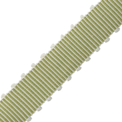 Westport Picot Border Trim by Samuel & Sons in Spring Green